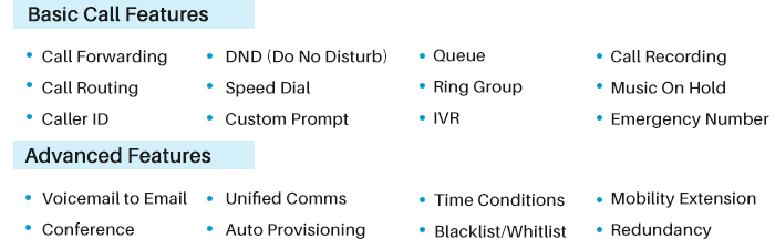 Key Business Voip Features